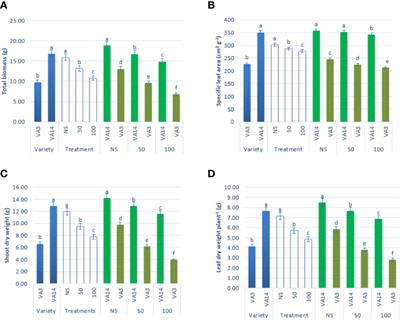 The Response of Salinity Stress-Induced A. tricolor to Growth, Anatomy, Physiology, Non-Enzymatic and Enzymatic Antioxidants